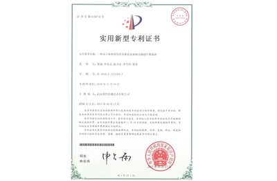 一种用于棒材探伤的多通道表面波电磁超声换能器